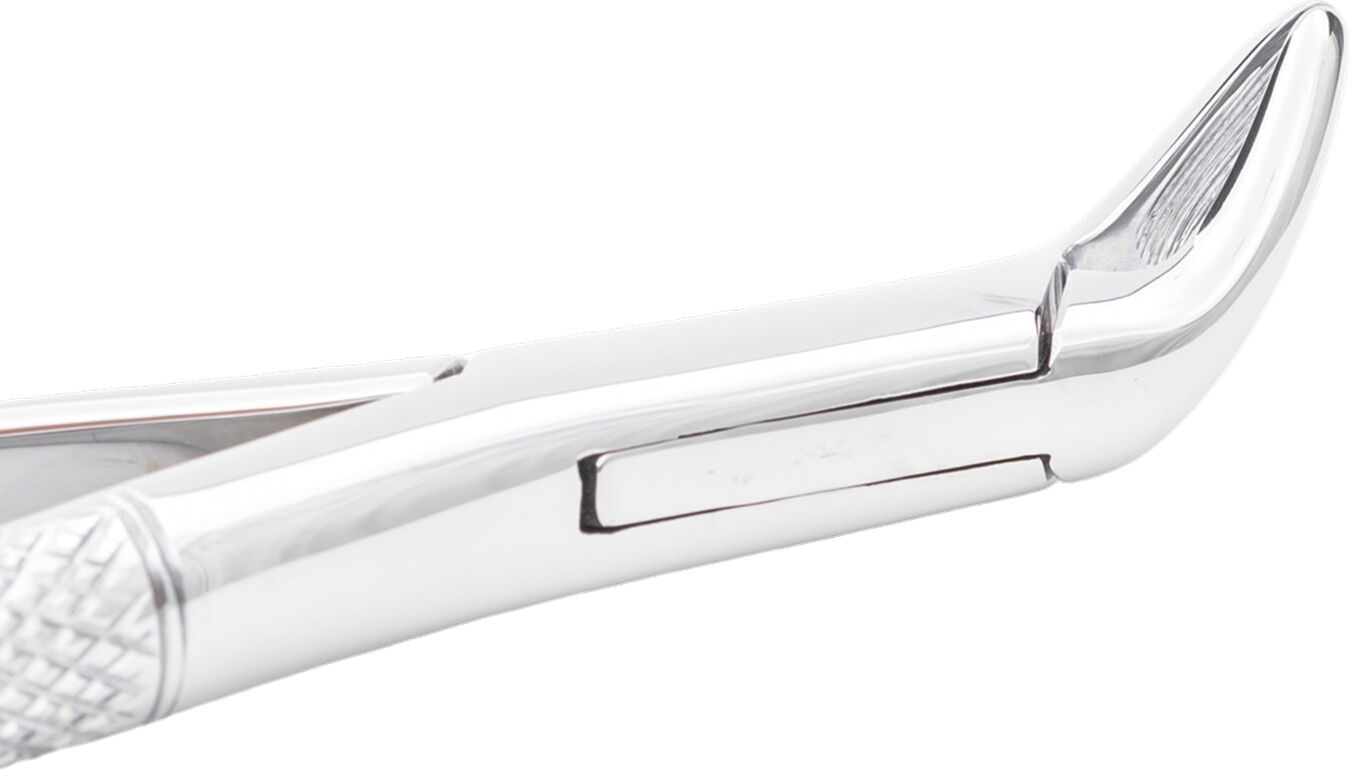 service-bottom-image